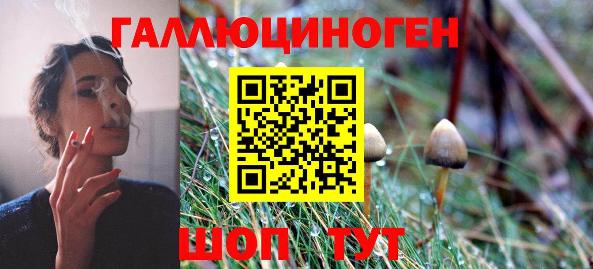 Галлюциногенные грибы GOLDEN TEACHER  Вход с VPN  Калач-на-Дону 